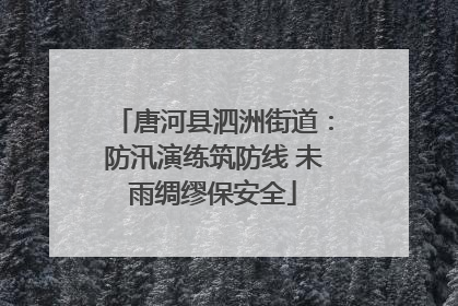 唐河县泗洲街道：防汛演练筑防线 未雨绸缪保安全